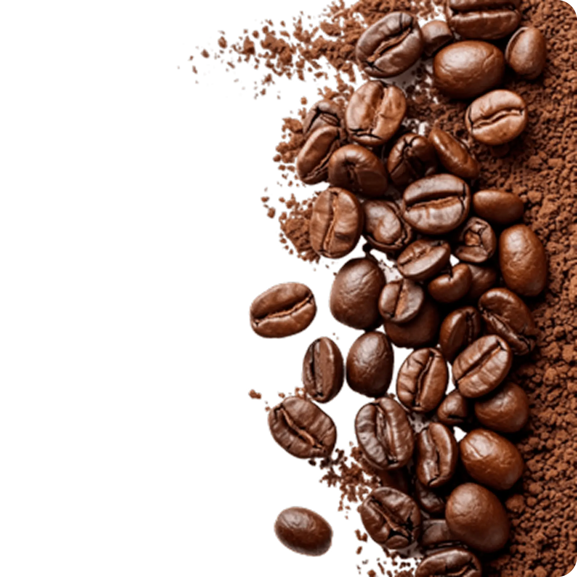 Beverages & Caffeine