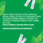 Extra Gum Spearmint BinsShop