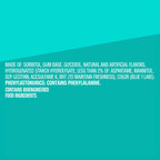 Extra Gum Polar Ice (Single Pack) BinsShop