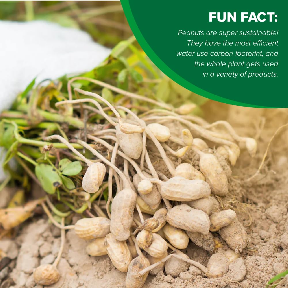 Hampton Farms - Fancy Roasted In-Shell Salted Peanuts - 5 lb. Bag Generic